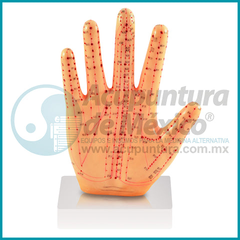 MODELO SUJOK DE MANO A ESCALA, 23CM.