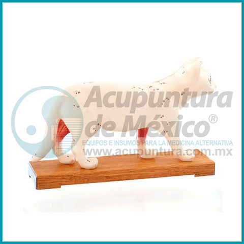 MODELO DE GATO, 18 CM.