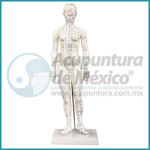 MODELO FEMENINO A ESCALA, 48CM.