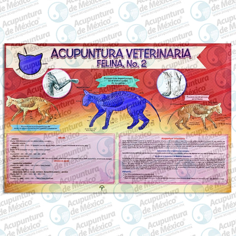 GRAF. ACUPUNTURA VETERINARIA FELINA No2