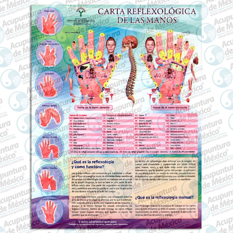 GRAF. REFLEXOLOGICA DE LAS MANOS, CARTA
