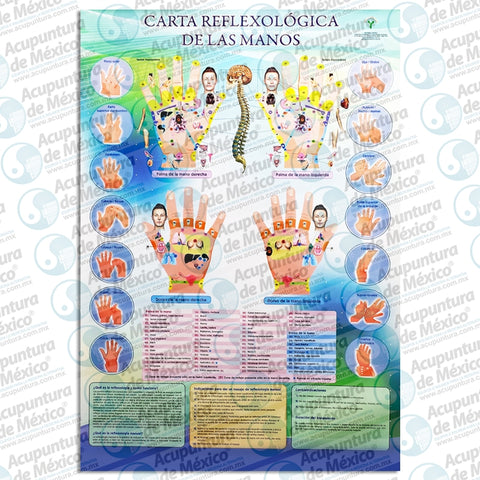 GRAF. REFLEXOLOGICA DE LAS MANOS, POSTER