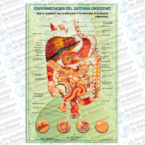 GRAF. ENFERMEDADES DEL SISTEMA DIGESTIVO