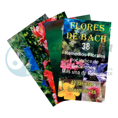GRAF. 42 TARJETAS DID. FLORES DE BACH