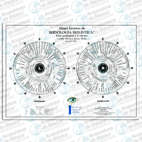 Gráficas de iridiología