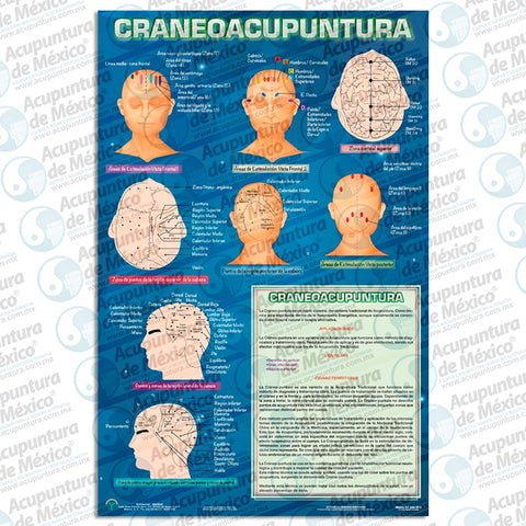 GRAF. CRANEOACUPUNTURA