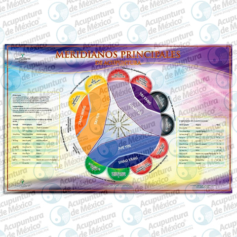 GRAF. MERIDIANOS PRINC. DE ACUP, POSTER