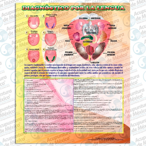 GRAF. DIAGNOSTICO POR LA LENGUA, CARTA