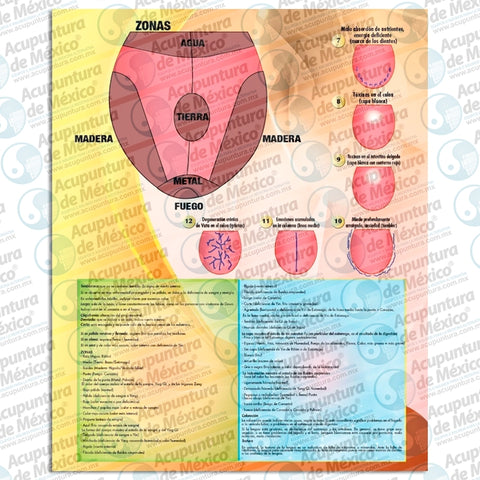 GRAF. DIAGNOSTICO POR LA LENGUA, CARTA
