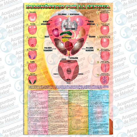 GRAF. DIAGNOSTICO POR LA LENGUA, POSTER