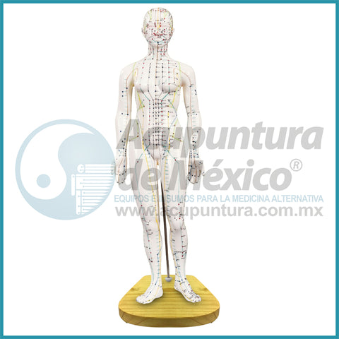 MODELO FEMENINO A ESCALA, 48CM. MADERA