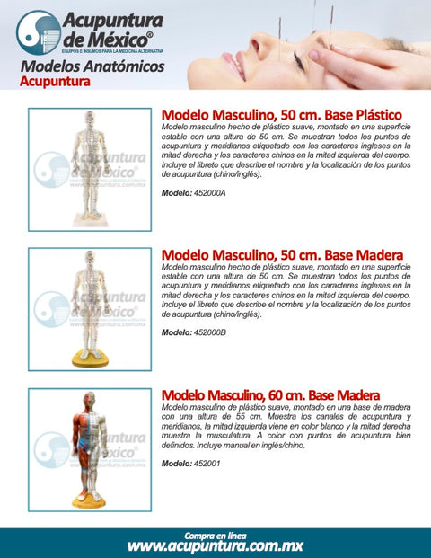 Modelos Anatomicos