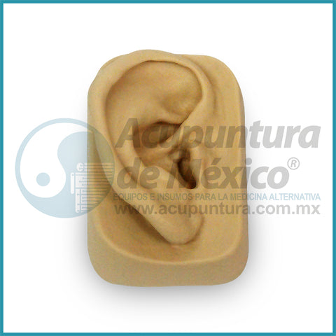 MODELO DE NOGIER OREJA DERECHA, 8.5cm
