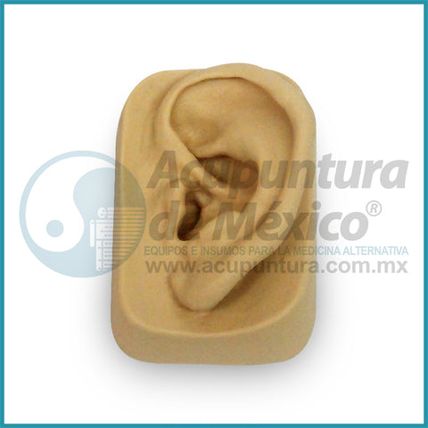 MODELO DE NOGIER OREJA IZQUIERDA, 8.5cm