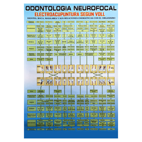 GRAF.  ODONTOLOGIA NEUROFOCAL, CHICA
